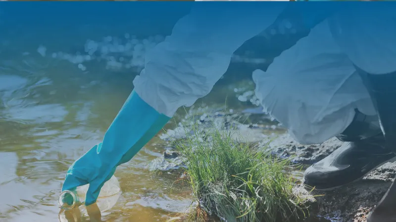 Servicios de Desarrollo de Aplicaciones